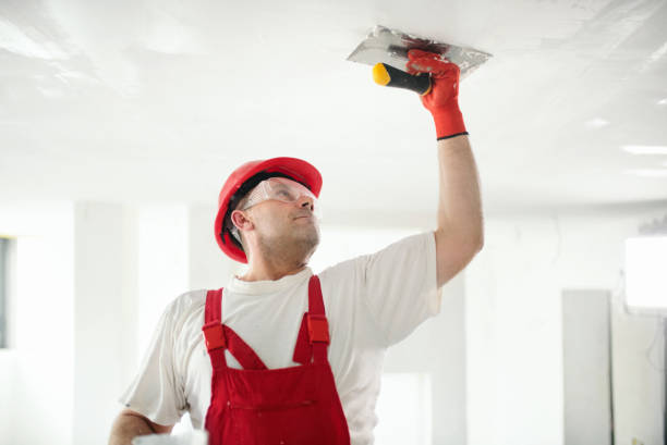 Best Drywall Sanding and Smoothing  in Henrietta, TX